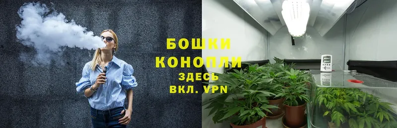 Бошки марихуана OG Kush  Бугуруслан 